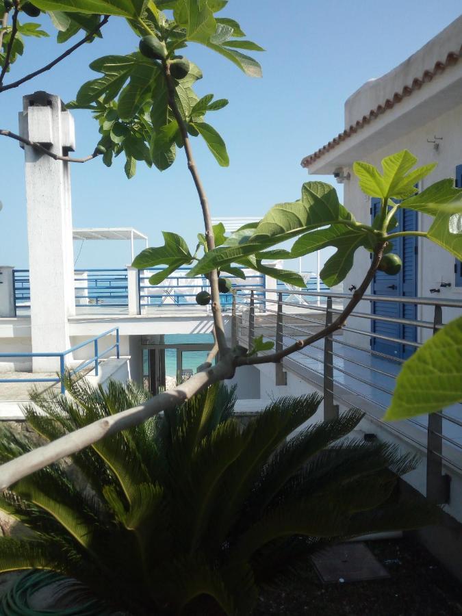 B&B Conca Del Faro マッティナータ エクステリア 写真